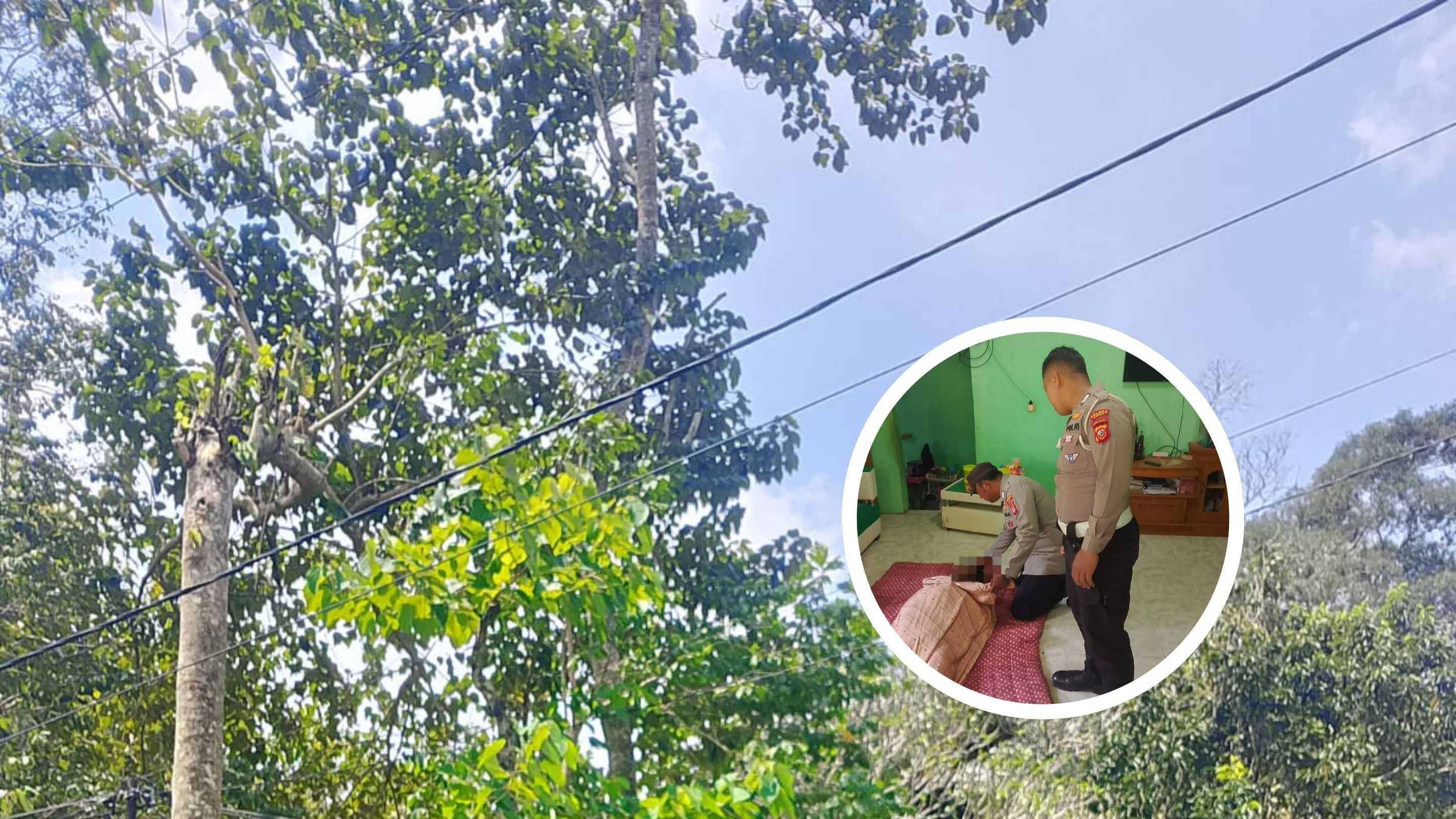 Seorang Pria di Limbangan Garut Tewas Tersengat Listrik Saat Tebang Pohon